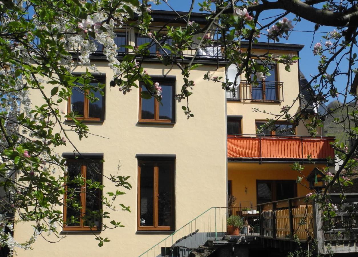 Ferienwohnung Ellebett Mueden Luaran gambar